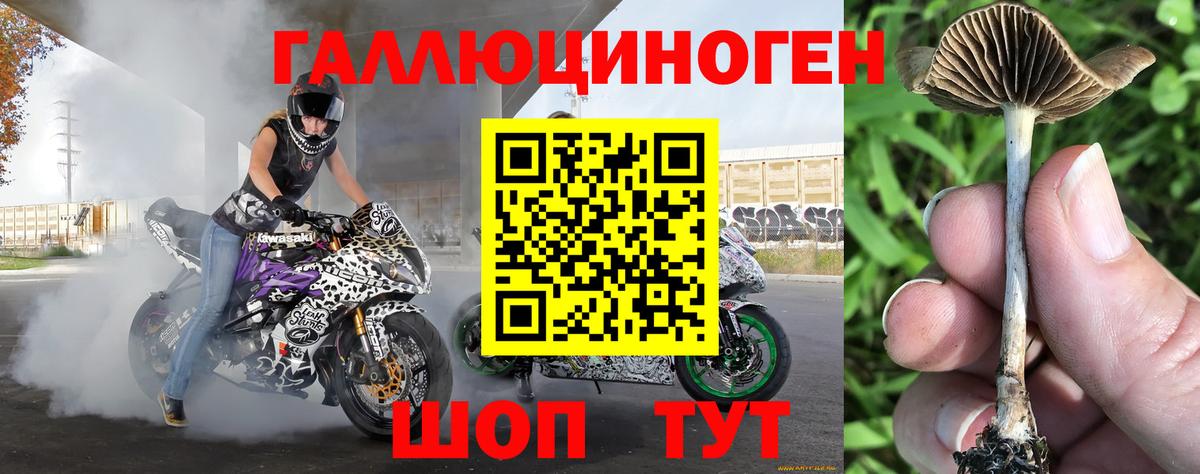 Псилоцибиновые грибы прущие грибы Кохма